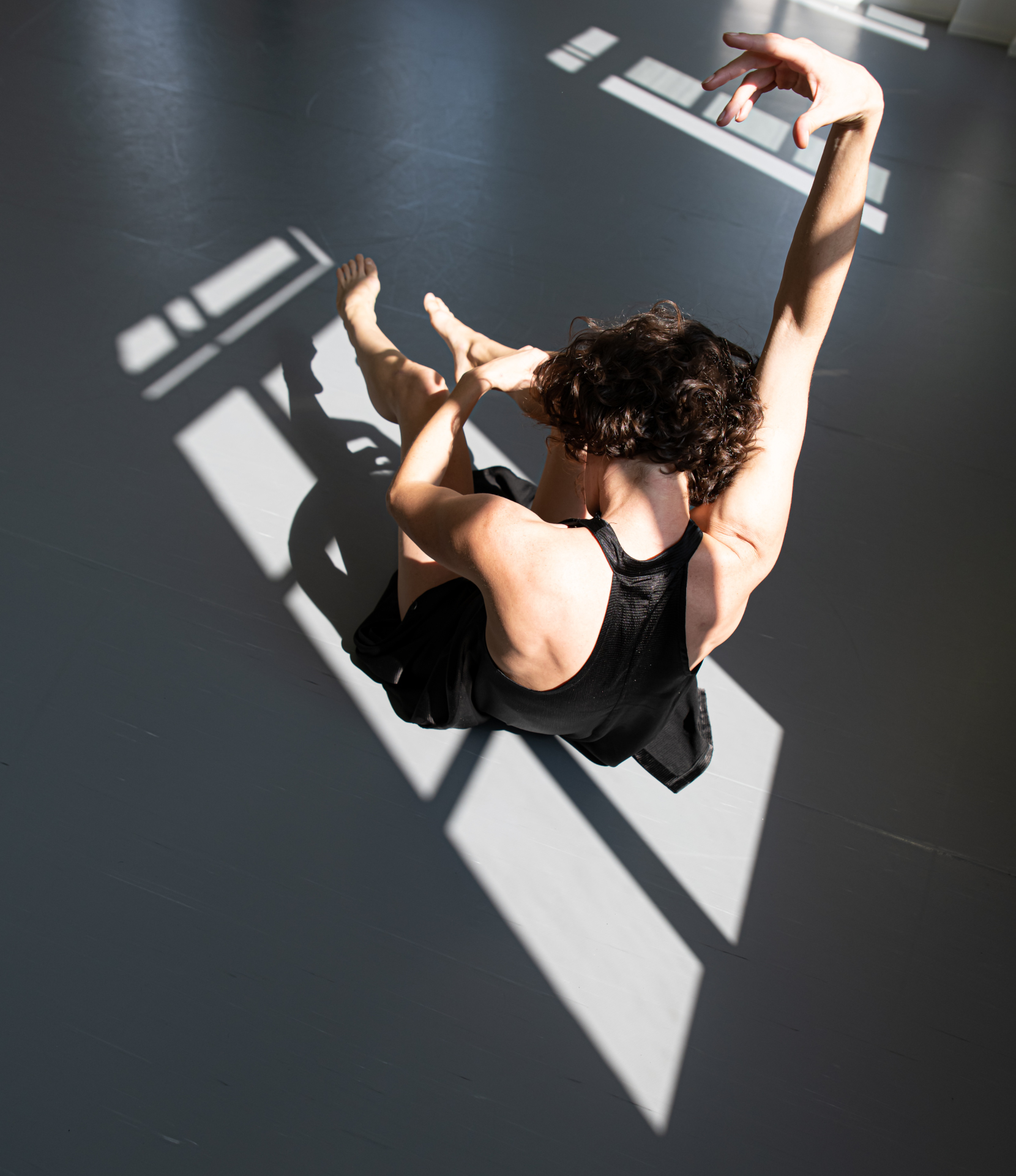 Ravid Abarbanel Uprooted 2019