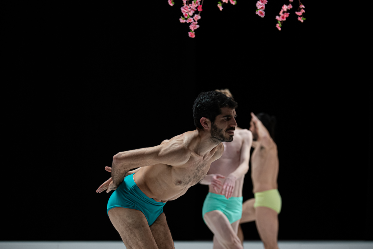 רועי אסף Gornisht 2022