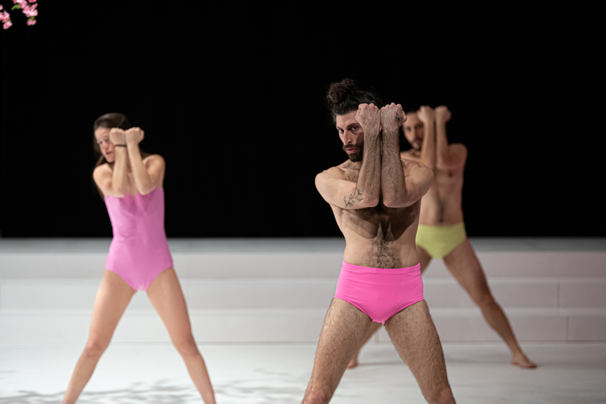 רועי אסף Gornisht 2022