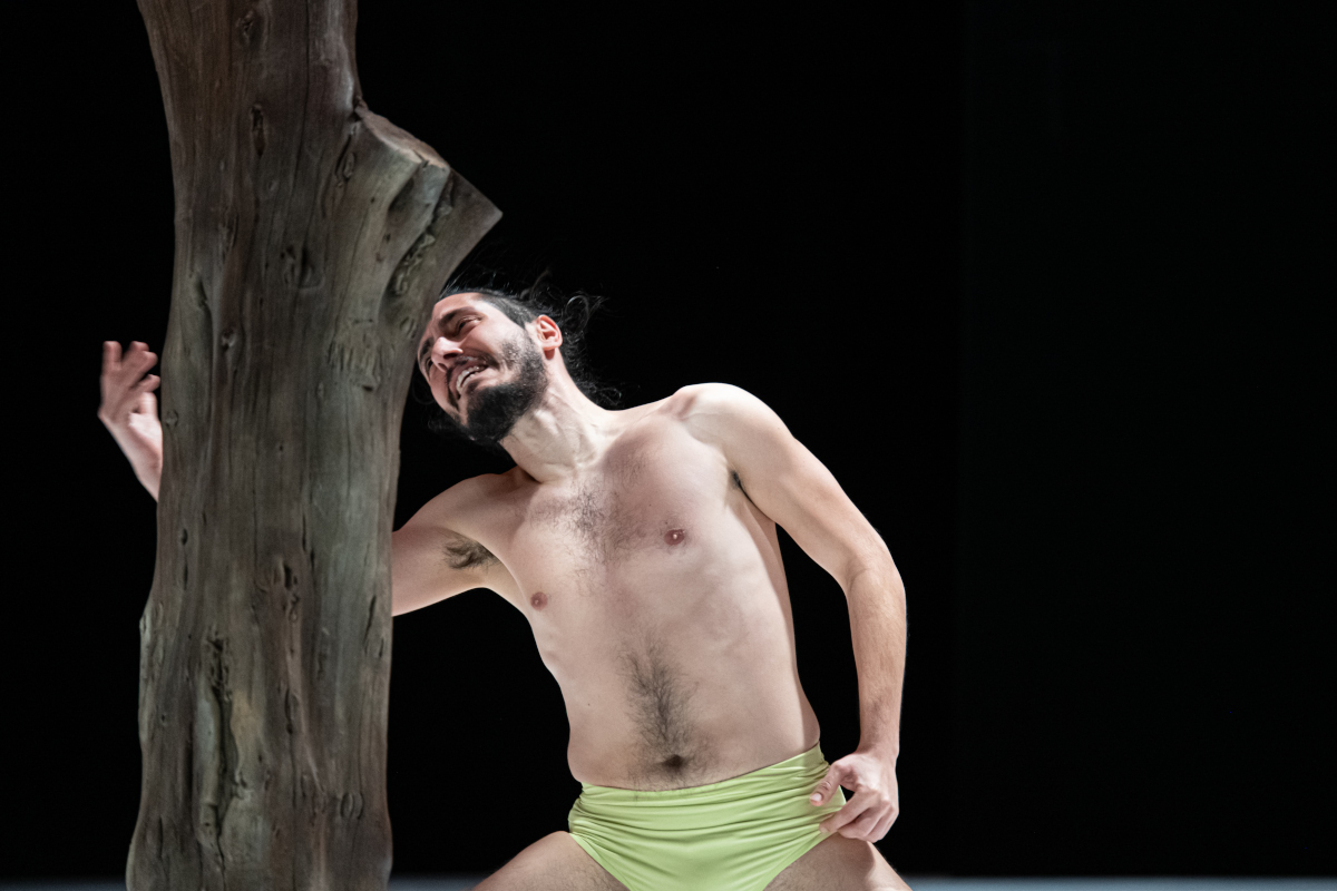 רועי אסף Gornisht 2022